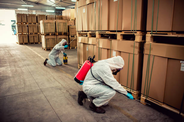 Best Local Pest Control Services  in White Castle, LA
