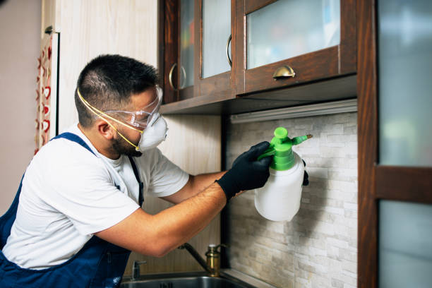 Best Cockroach Control Services  in White Castle, LA