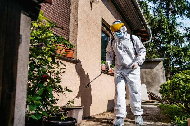 Best Commercial Pest Control Services  in White Castle, LA
