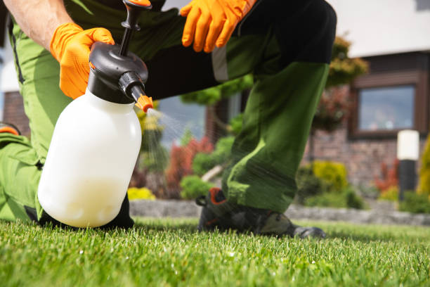 Best Termite Control Services  in White Castle, LA