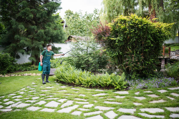 Best Affordable Pest Control Services  in White Castle, LA
