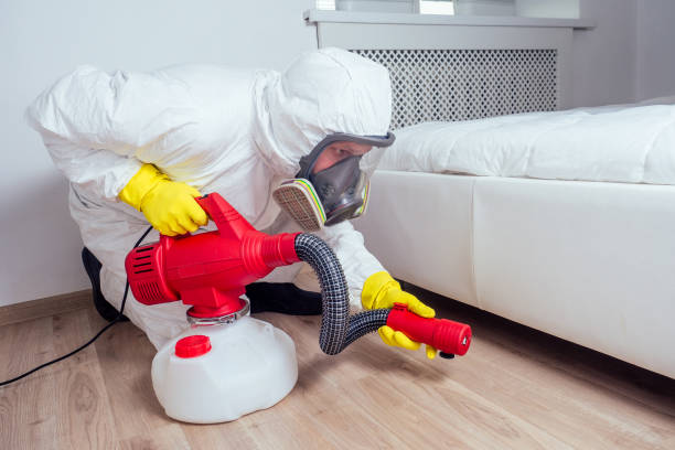 Trusted White Castle, LA Pest Control Experts