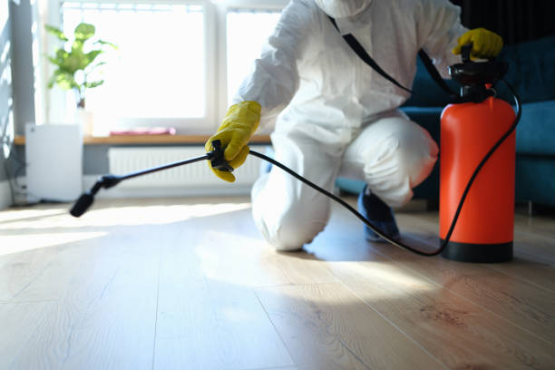 Best Pest Removal Services  in White Castle, LA
