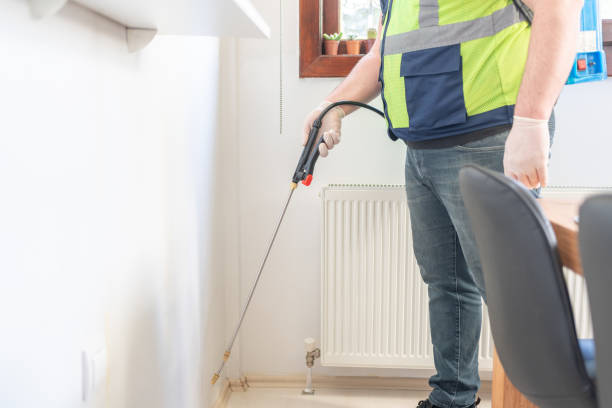 Best Pest Control for Homes  in White Castle, LA