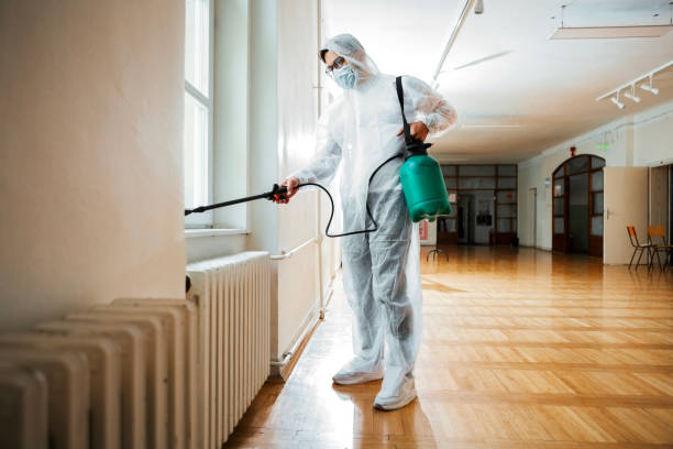 Best Bed Bug Extermination  in White Castle, LA