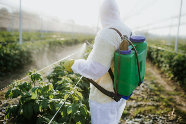 Best Wildlife Control Services  in White Castle, LA